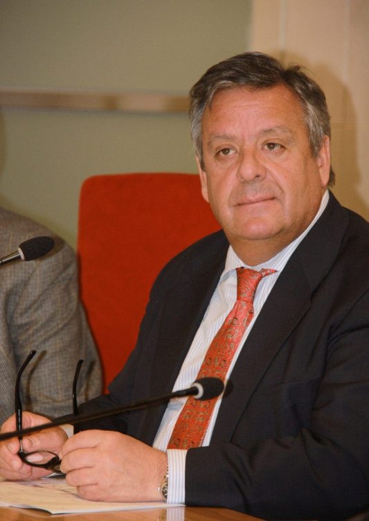 Julio Ancochea Bermúdez (presidente del Comité Científico de la Red TBS).