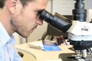 Un investigador estudia con un microscopio una placa con una muestra de tejido oncológico