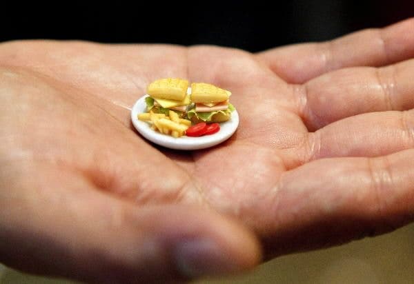 Vida larga nutrición
