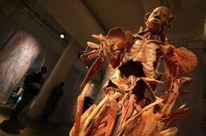 Donación de cuerpo, el futuro de la medicina