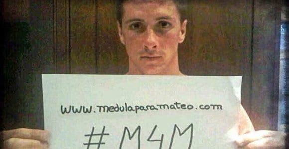 Campaña Mateo