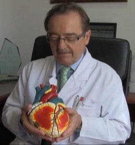 Una maqueta de corazón en manos del Dr. Macaya.