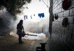 Un empleado del Ministerio de Salud fumiga el patio de una casa en la ciudad de Soyapango, 6 kilómetros al este de San Salvador. EFE/Oscar Rivera
