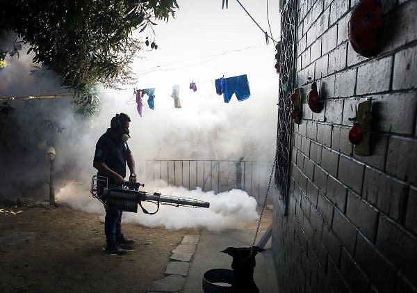Un empleado del Ministerio de Salud fumiga el patio de una casa en la ciudad de Soyapango, 6 kilómetros al este de San Salvador. EFE/Oscar Rivera