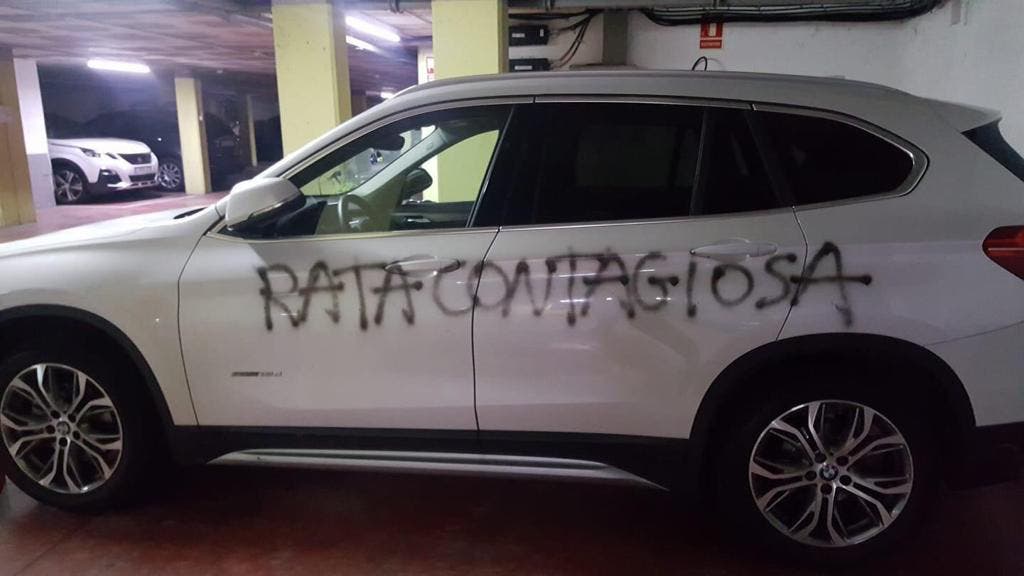 coronavirus pintada insultante