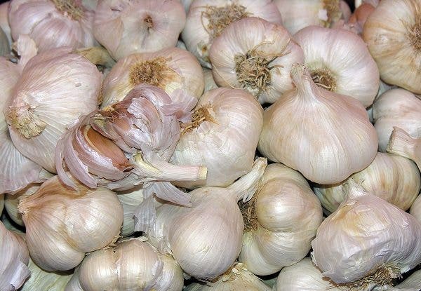 Primer plano de unos ajos blancos. Efesalud.com