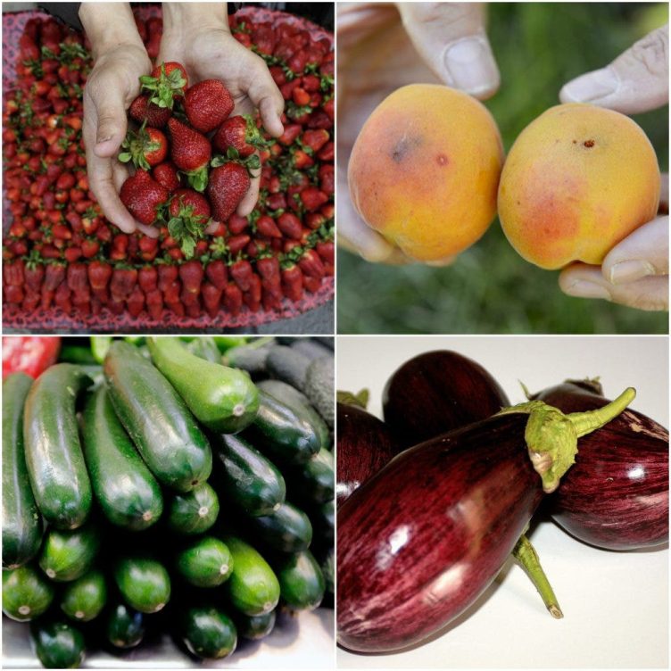 alimentos de temporada