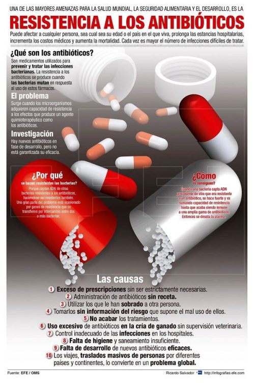 antibióticos