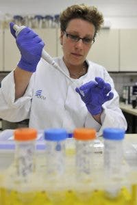 bacterias multirresistentes antibioticos