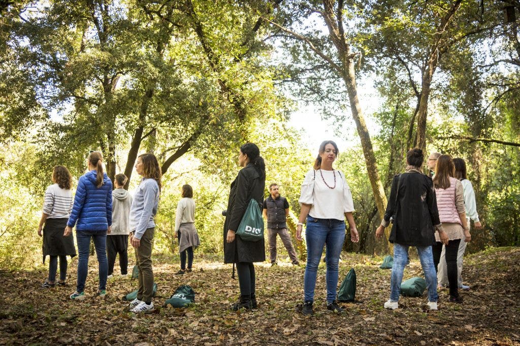 bosques forestales
