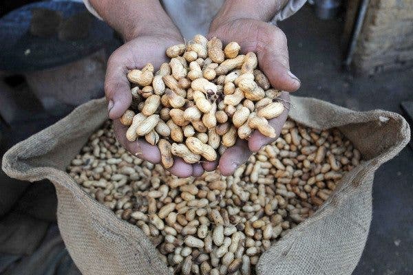 Frutos secos