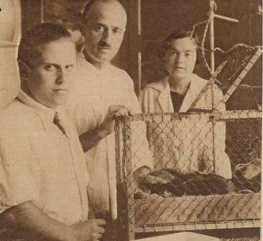 Día Internacional de la Mujer y la Niña en la Ciencia