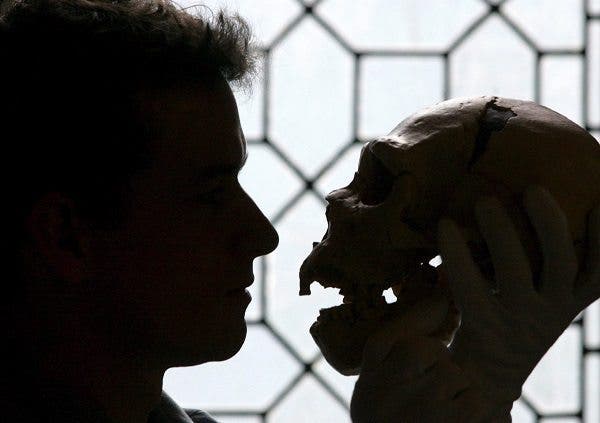 Un hombre examina una réplica de una calavera humana. Efesalud.com