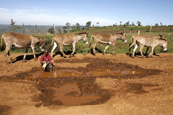 cambio climático niños