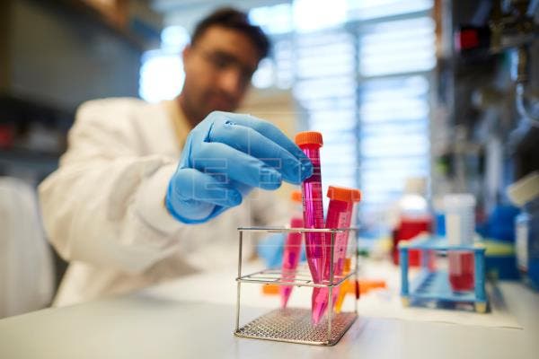 plataformas genómicas