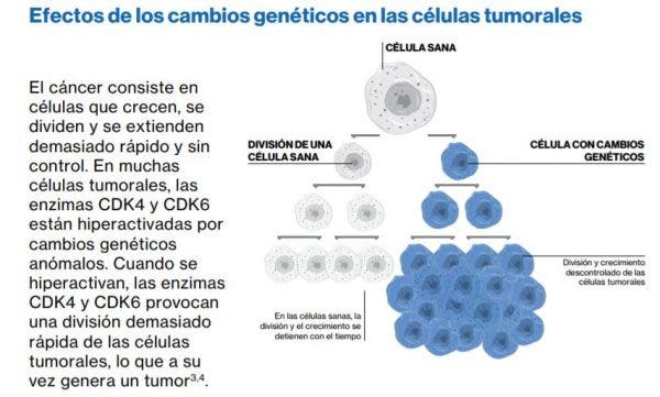 ciclinas