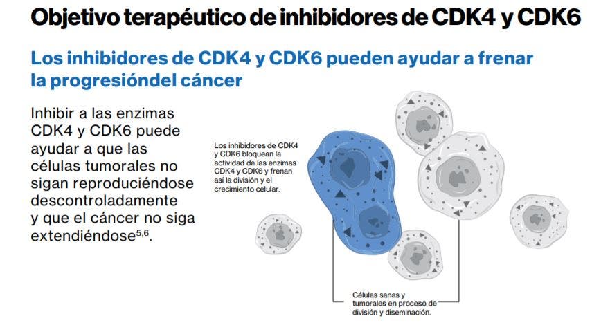 ciclinas