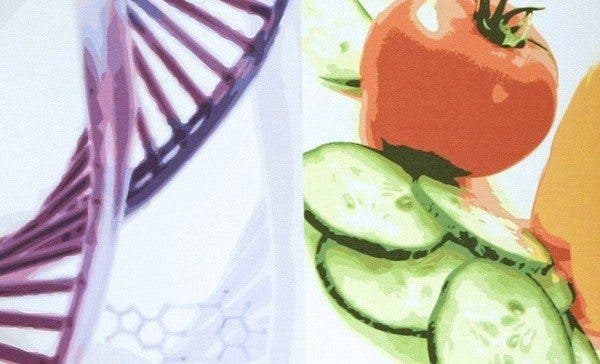 Imagen de un tomate y rodajas de pepino.