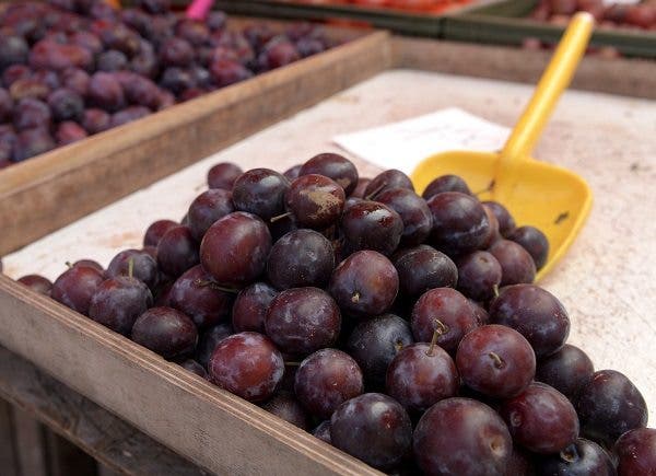 Imagen de unas ciruelas negras con una pala amarilla. Efesalud.com