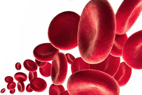 SANGRE, células tumorales circulantes