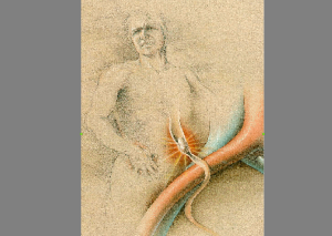 zona de dolor lumbar