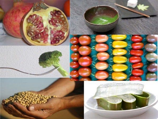 alimentos funcionales