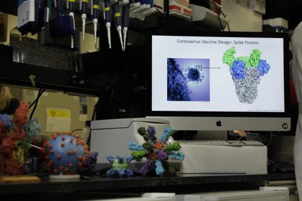 coronavirus conocimiento ciencia