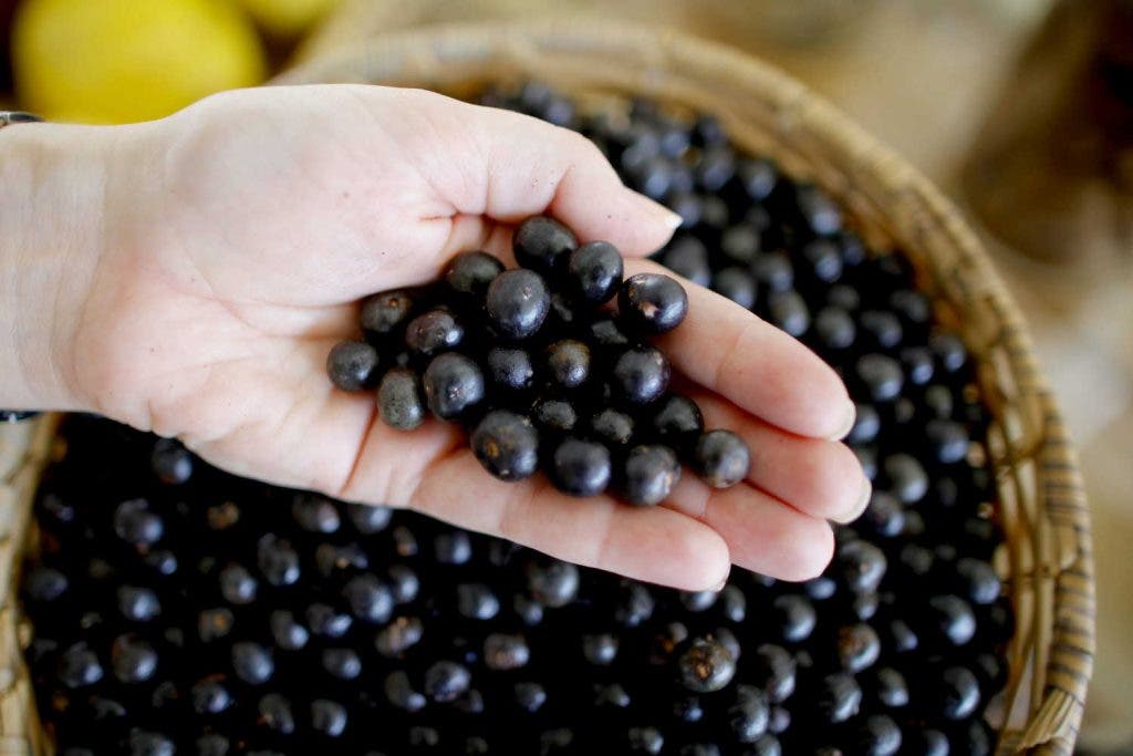 cosmetica natural aceite de acai