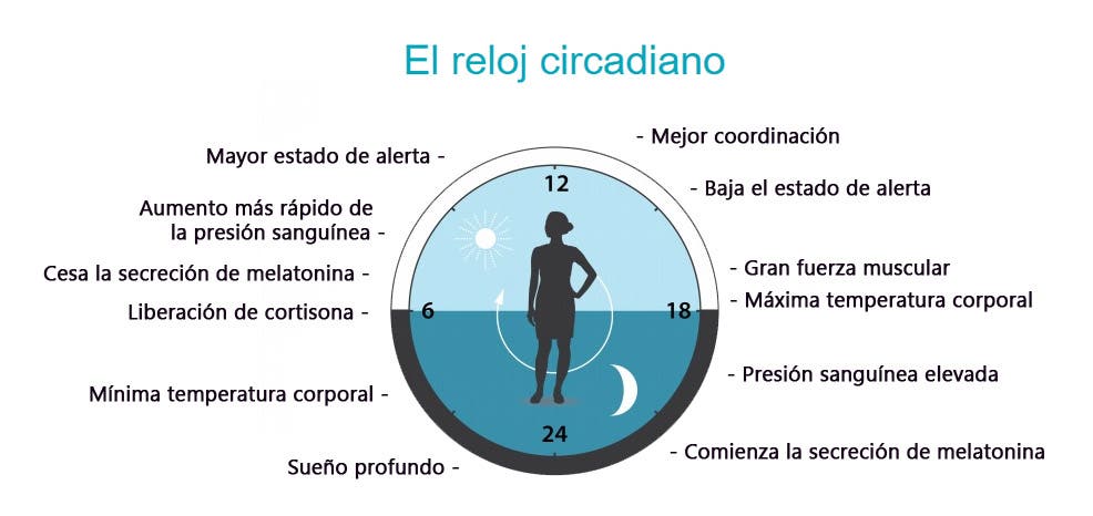 relos biológico