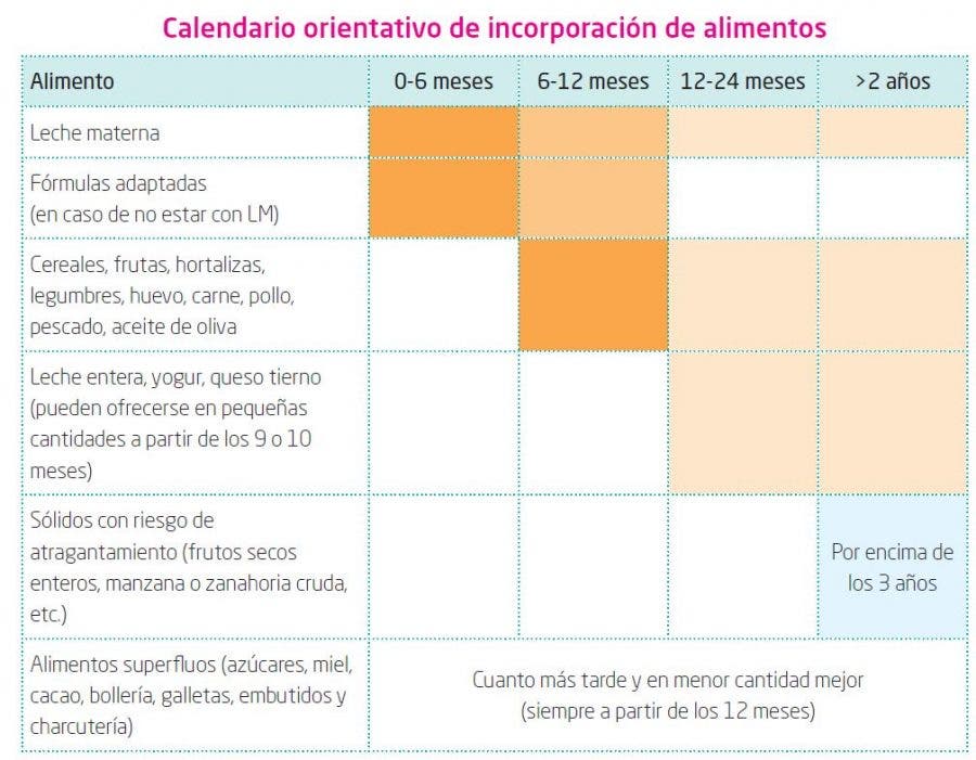 alimentación complementaria