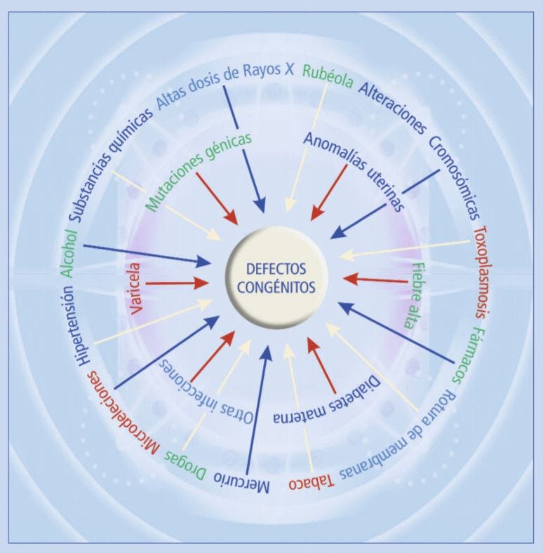 defectos congénitos