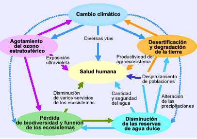 salud ecosistemas