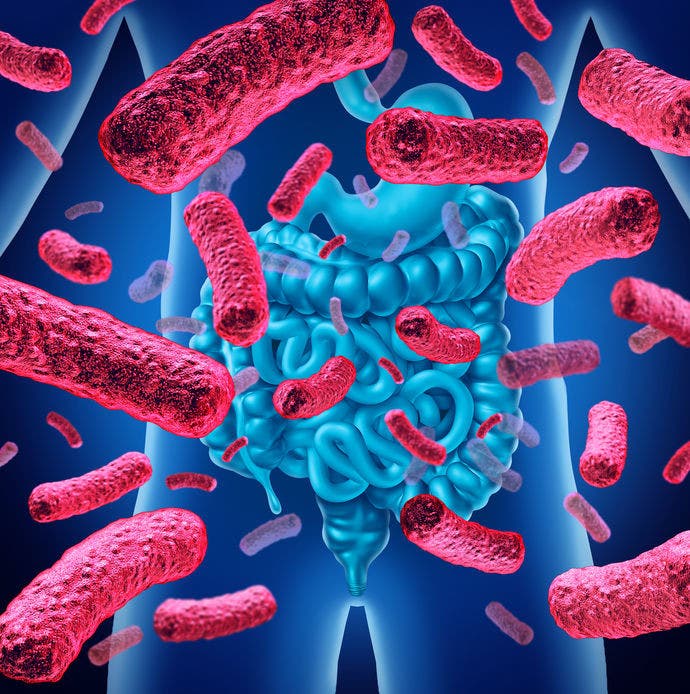 microbiota y fertilidad