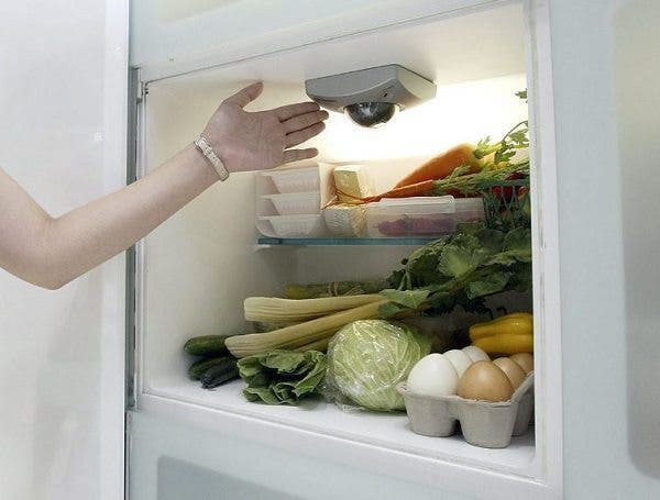 Alimentación, apetito verano