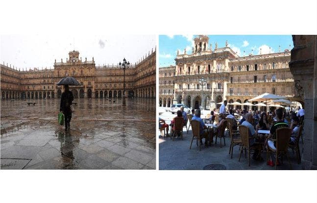 estrategia covid cero