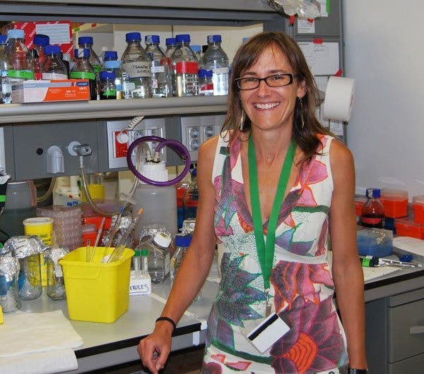 Investigación cáncer