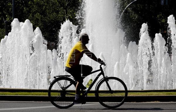 coronavirus fases desescalada