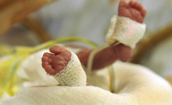fertilidad