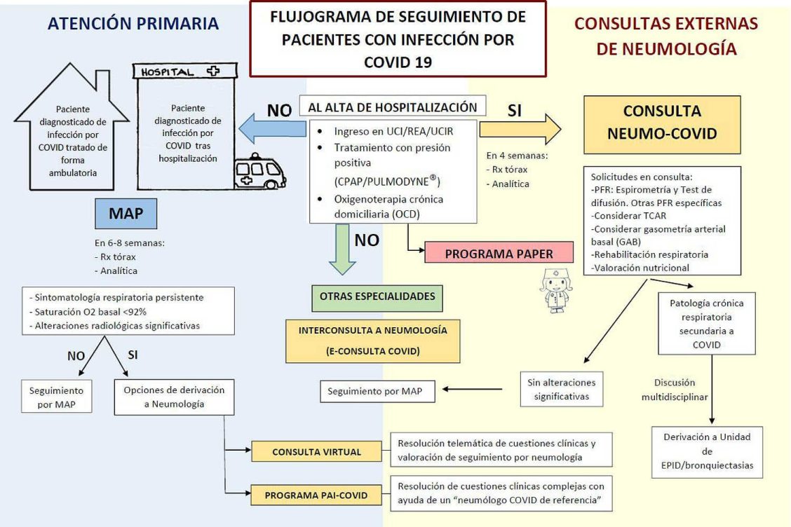 Esquema programa PAI-COVID