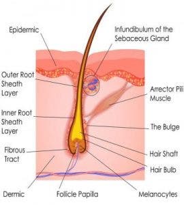 foliculitis tratamiento