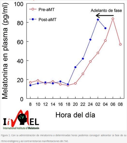 gráfico melatonina