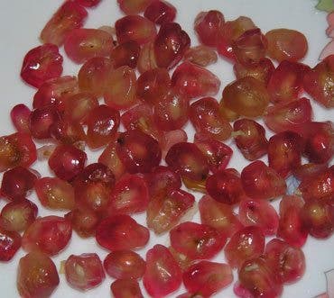 Granada, torrente de salud