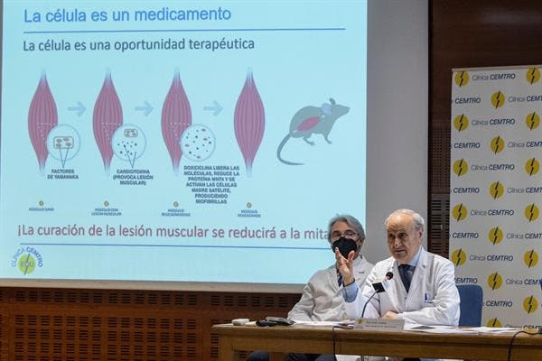 lesiones musculares recuperación