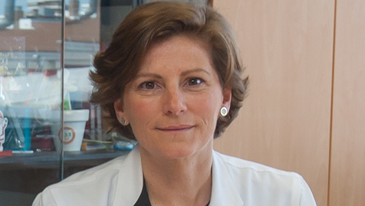 endoscopia digestiva 