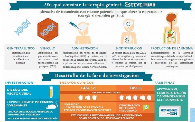 Infografía sobre la investigación de terapia génica para síndrome de Sanfilippo tipo A. Infografía: Laboratorios Esteve