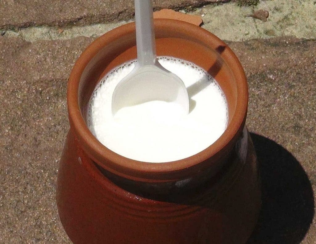 Leche fermentada