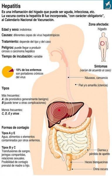 Infografía sobre la actividad de la hepatitis en nuestro organismo. Efesalud.com