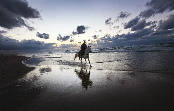 Un caballo y un jinete galopan por una playa con el cielo nublado. Efesalud