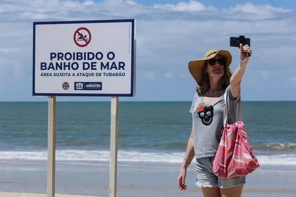 mar tiburones prohibicion nadar