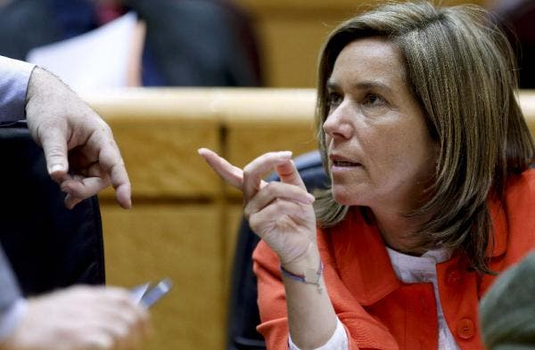 mato senado